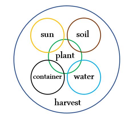 Plant Sun Soil Diagram 2016